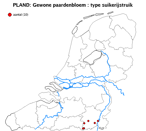 suikerijstruik